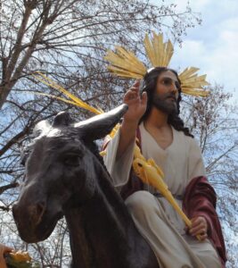 Entrada de Jesús en Jerusalén, borriquilla